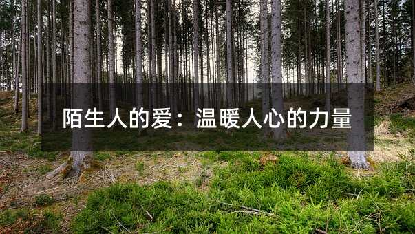 陌生人的爱:温暖人心的力量