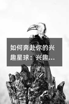 如何奔赴你的兴趣星球:兴趣是选择题