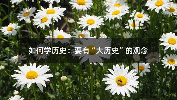 如何学历史:要有“大历史”的观念