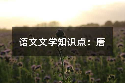 语文文学知识点:唐