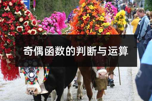 奇偶函数的判断与运算