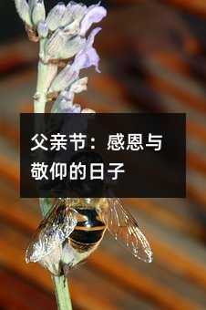 父亲节：感恩与敬仰的日子