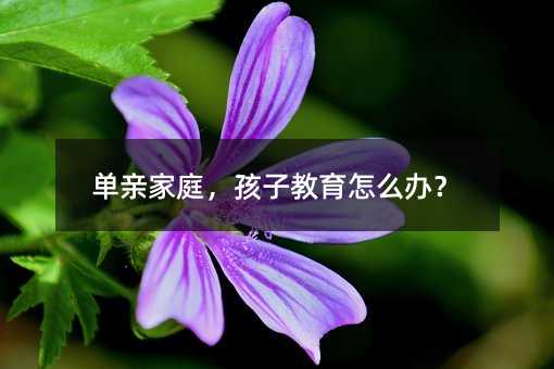 单亲家庭,孩子教育怎么办?