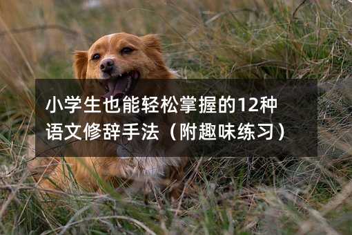小学生也能轻松掌握的12种语文修辞手法（附趣味练习）