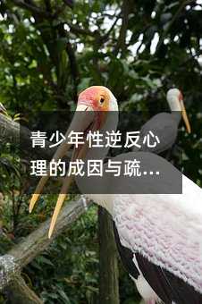青少年性逆反心理的成因与疏导策略:从自残纹身现象看教育困境