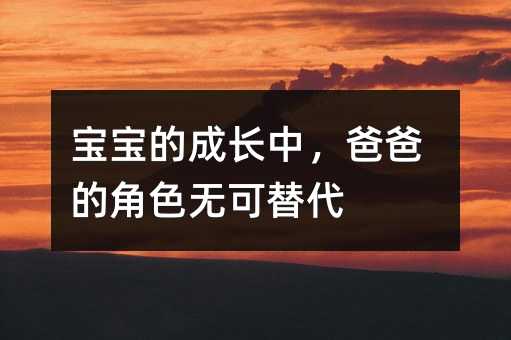 宝宝的成长中,爸爸的角色无可替代