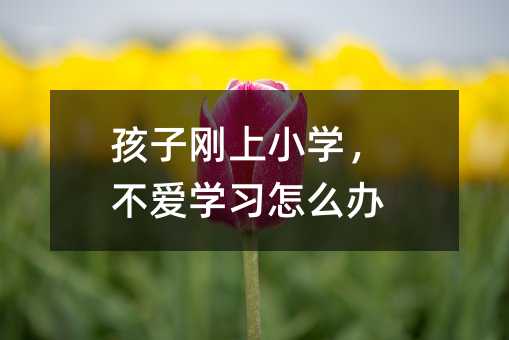 ӸСѧѧϰô