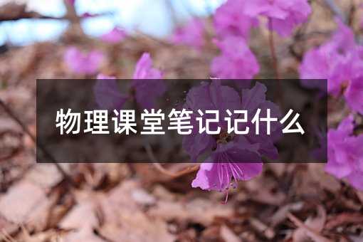 物理课堂笔记记什么