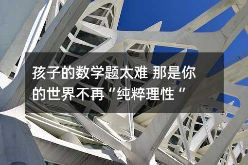 孩子的数学题太难 那是你的世界不再“纯粹理性“