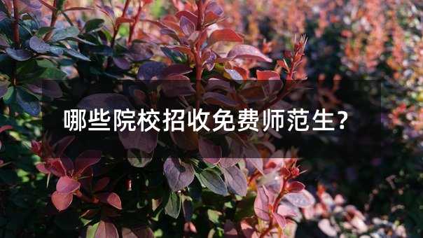 哪些院校招收免费师范生?