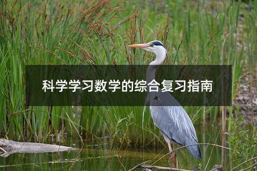 科学学习数学的综合复习指南