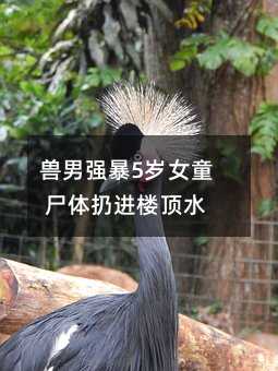兽男强暴5岁女童 尸体扔进楼顶水塔