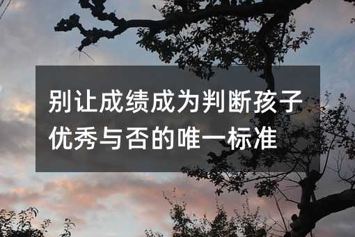 别让成绩成为判断孩子优秀与否的唯一标准