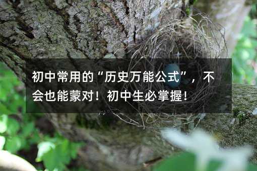 初中常用的“历史万能公式”,不会也能蒙对!初中生必掌握!