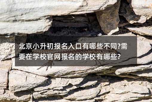 北京小升初报名入口有哪些不同?需要在学校官网报名的学校有哪些?