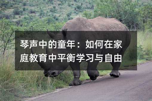 琴声中的童年:如何在家庭教育中平衡学习与自由