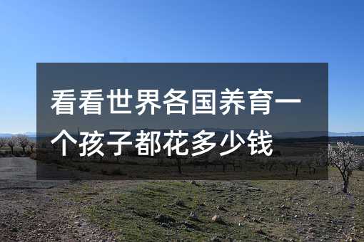 看看世界各国养育一个孩子都花多少钱