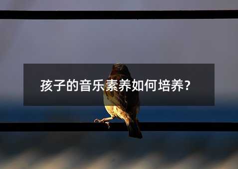 孩子的音乐素养如何培养?