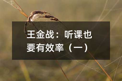 王金战:听课也要有效率(一)