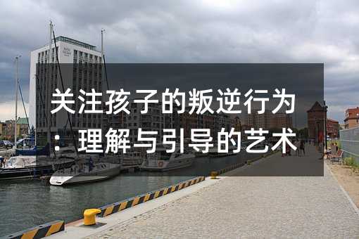 关注孩子的叛逆行为:理解与引导的艺术
