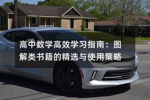 高中数学高效学习指南:图解类书籍的精选与使用策略