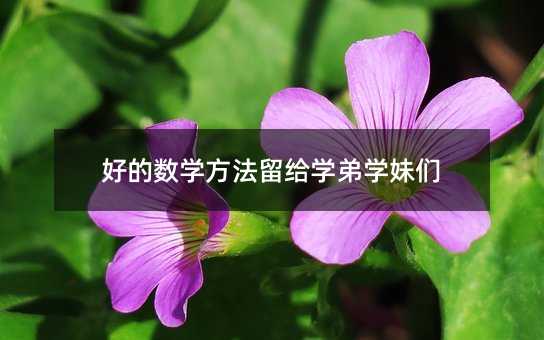 好的数学方法留给学弟学妹们