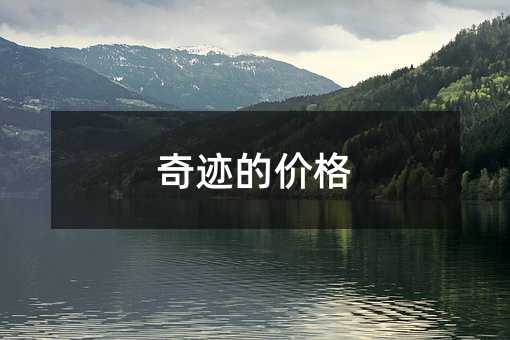 奇迹的价格