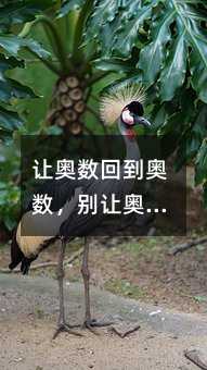 让奥数回到奥数,别让奥数中了商业化的毒