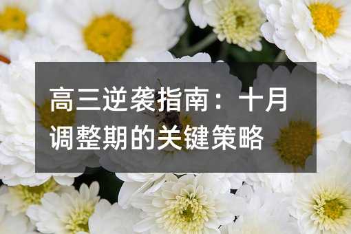 高三逆袭指南:十月调整期的关键策略