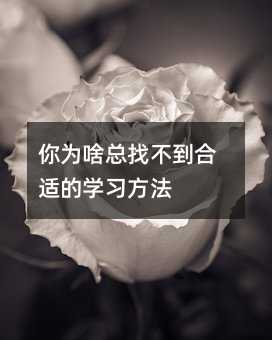 你为啥总找不到合适的学习方法