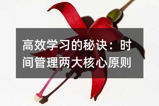 高效学习的秘诀:时间管理两大核心原则