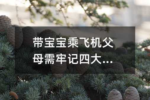 带宝宝乘飞机父母需牢记四大宝典