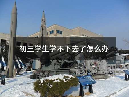 初三学生学不下去了怎么办