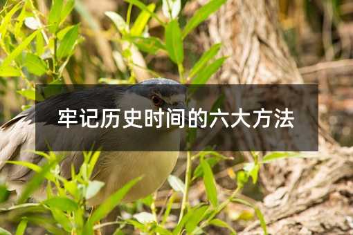 牢记历史时间的六大方法