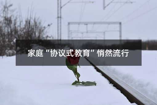 ͥЭʽȻ