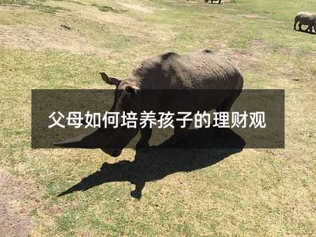 父母如何培养孩子的理财观