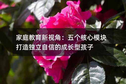 家庭教育新视角:五个核心模块打造独立自信的成长型孩子