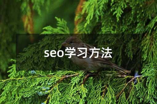 seo学习方法