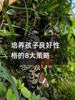 培养孩子良好性格的8大策略