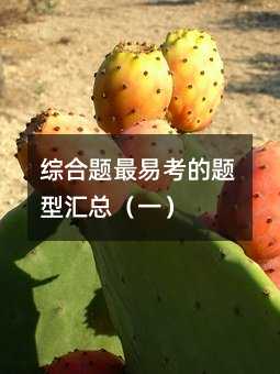 综合题最易考的题型汇总(一)