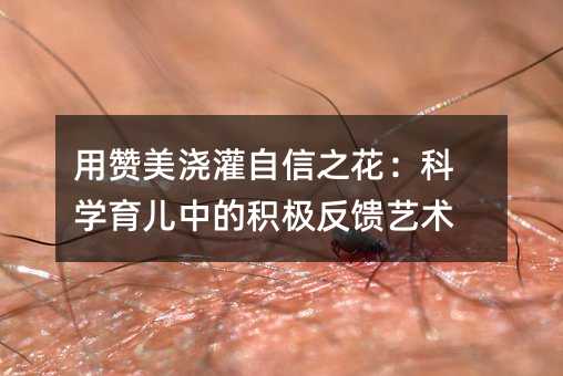 用赞美浇灌自信之花：科学婴幼儿教育中的积极反馈艺术