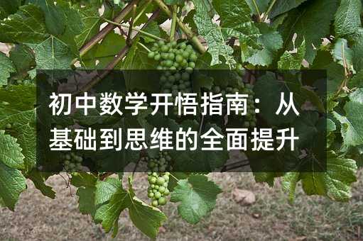 初中数学开悟指南:从基础到思维的全面提升