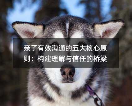 亲子有效沟通的五大核心原则:构建理解与信任的桥梁
