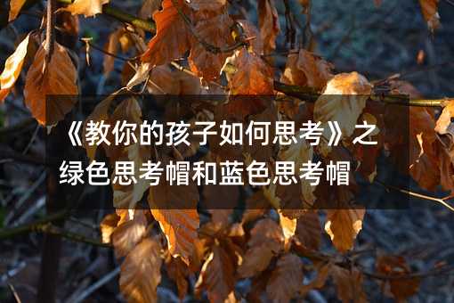 《教你的孩子如何思考》之绿色思考帽和蓝色思考帽