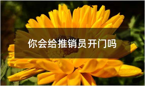 你会给推销员开门吗