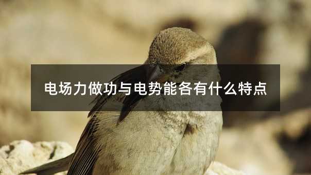 电场力做功与电势能各有什么特点