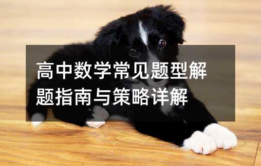 高中数学常见题型解题指南与策略详解