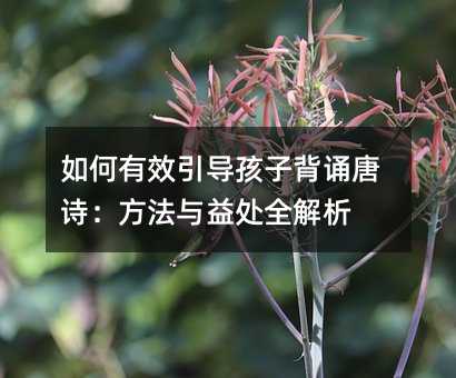 如何有效引导孩子背诵唐诗:方法与益处全解析