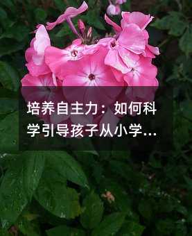 培养自主力:如何科学引导孩子从小学会做选择