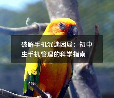 破解手机沉迷困局:初中生手机管理的科学指南